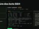Capture du bestiaire des bots SSH : terminal rejouant une session de cryptominage XMRig sur un honeypot Cowrie